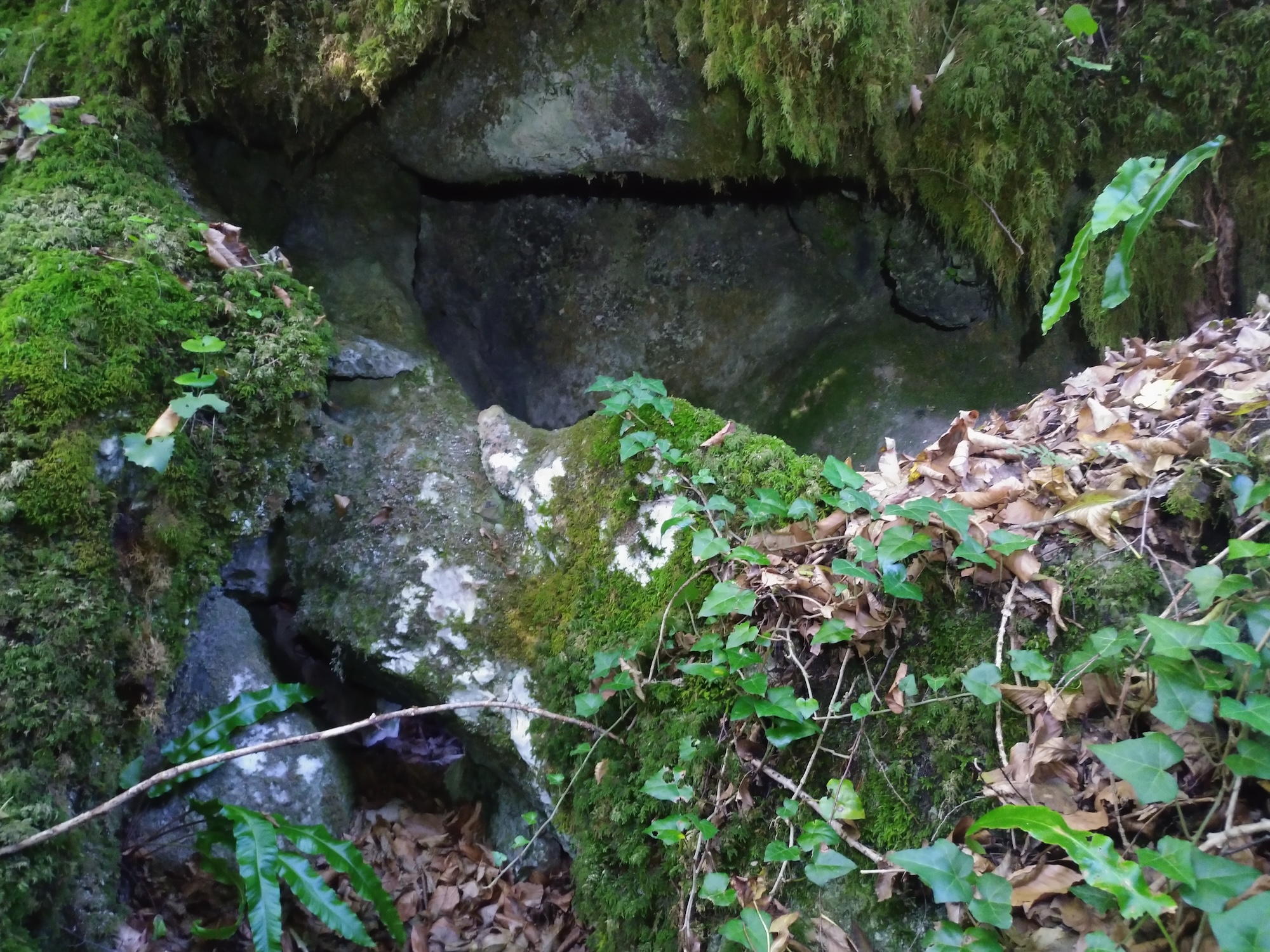 Avenul Prieteniei - Image 1